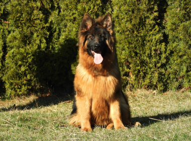 Xanti 13